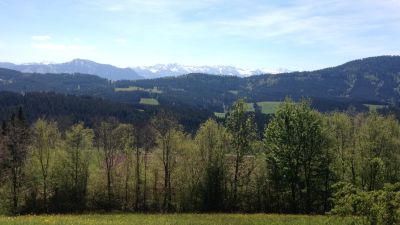 allgaeu