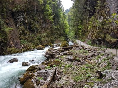 allgaeu