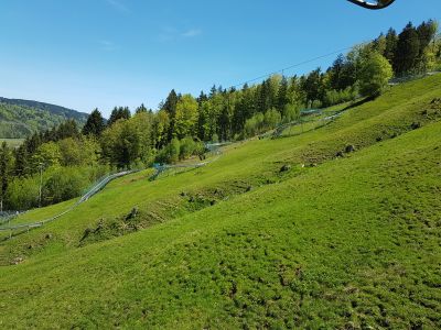 allgaeu